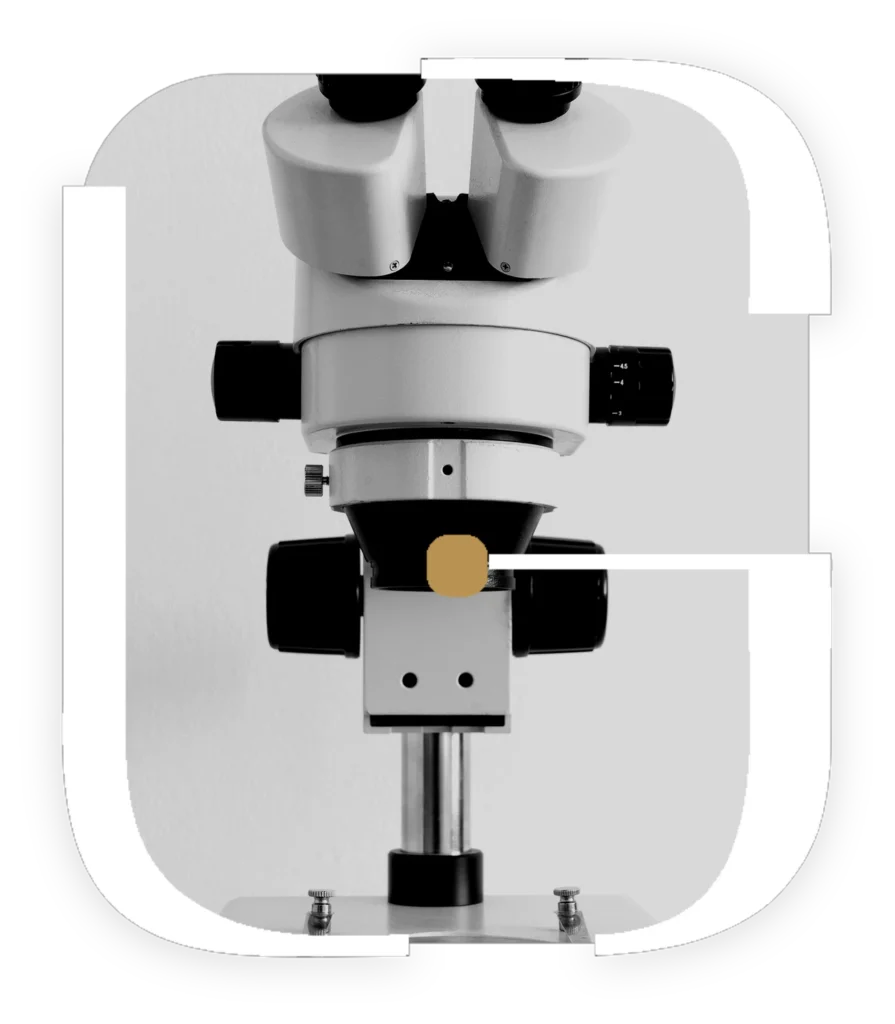Microscópio binocular em fundo claro, em preto e branco